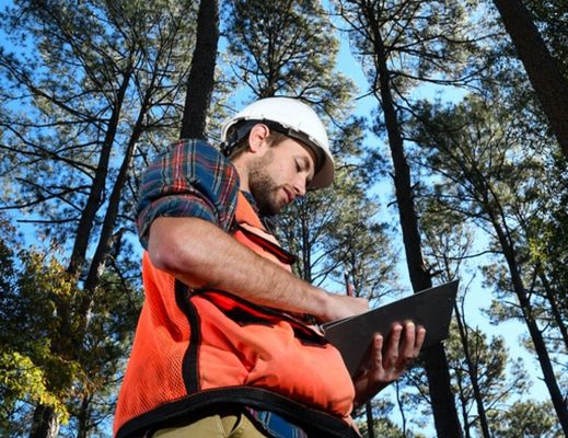 Student in GIS surverying forest