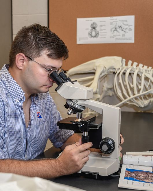 Man studying with microscope