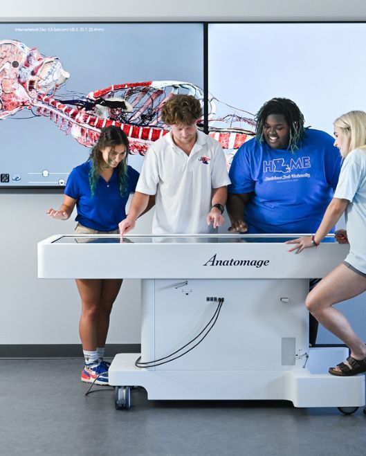 Students at Anatomage table