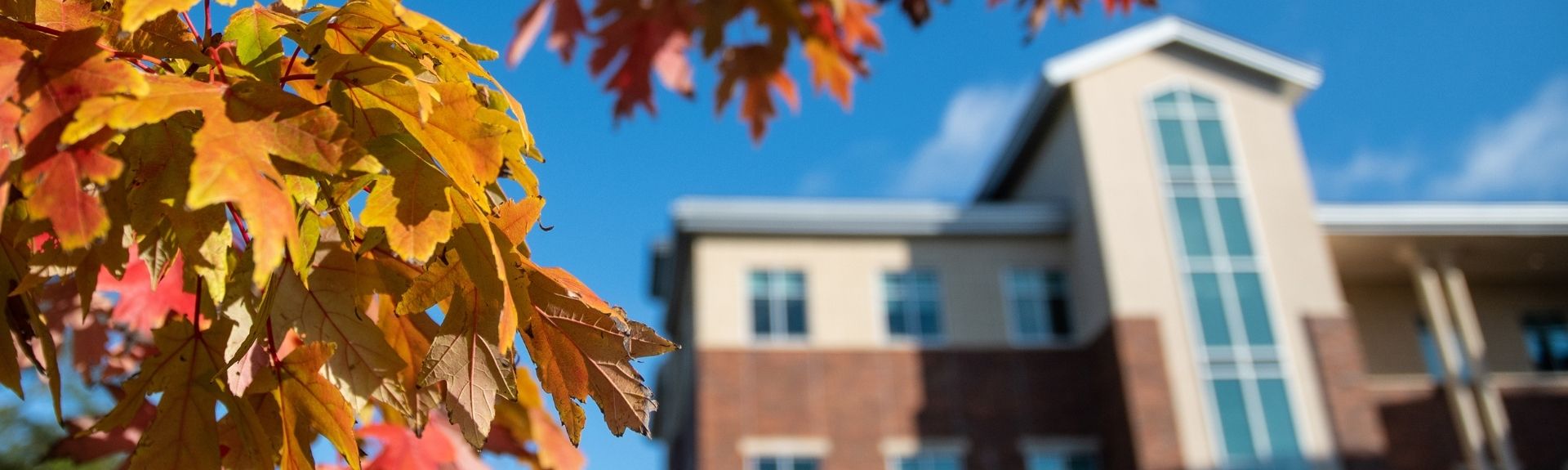 College of Business building with colorful fall leaves in the foreground