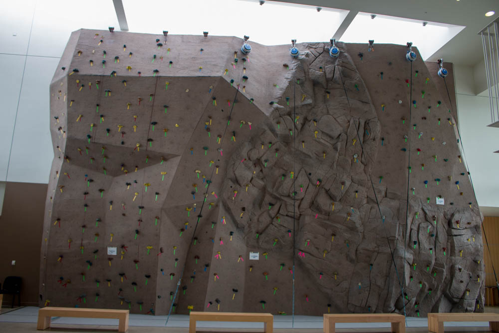 The rock wall in the Lambright Sports and Wellness Center
