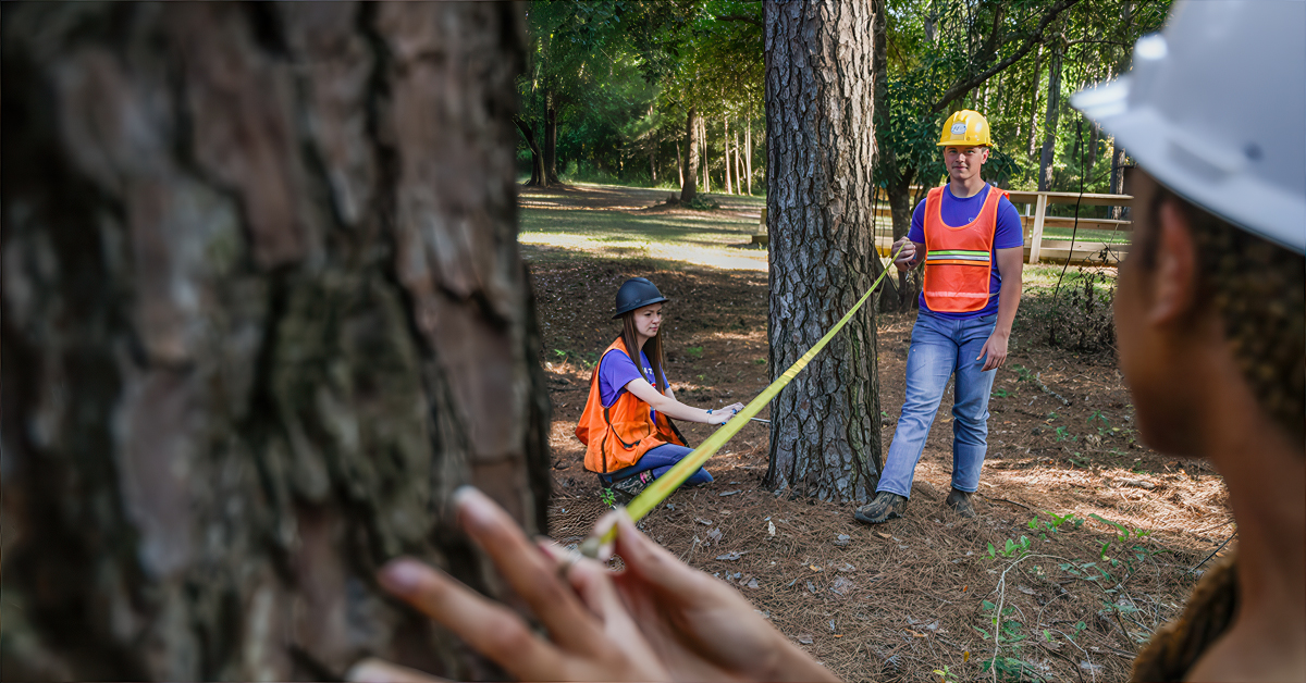 Louisiana Tech forestry students work outdoors
