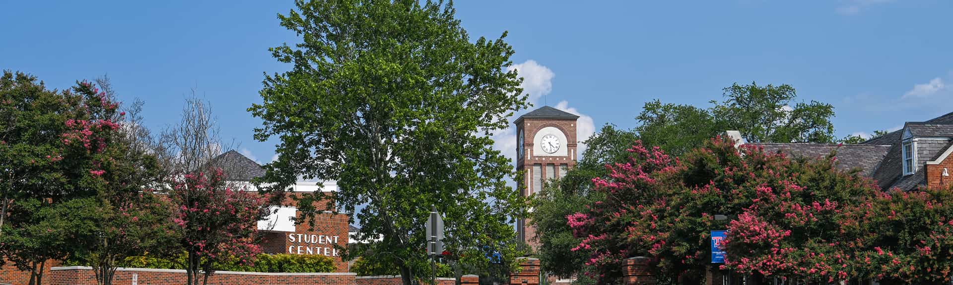 Campus photo in the fall