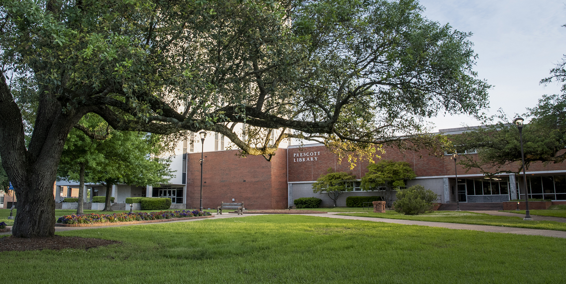 Prescott Memorial Library and Oak Tree