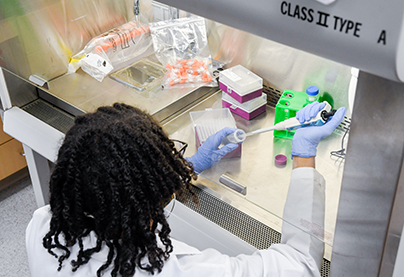 A student work in the biomedical engineering lab.