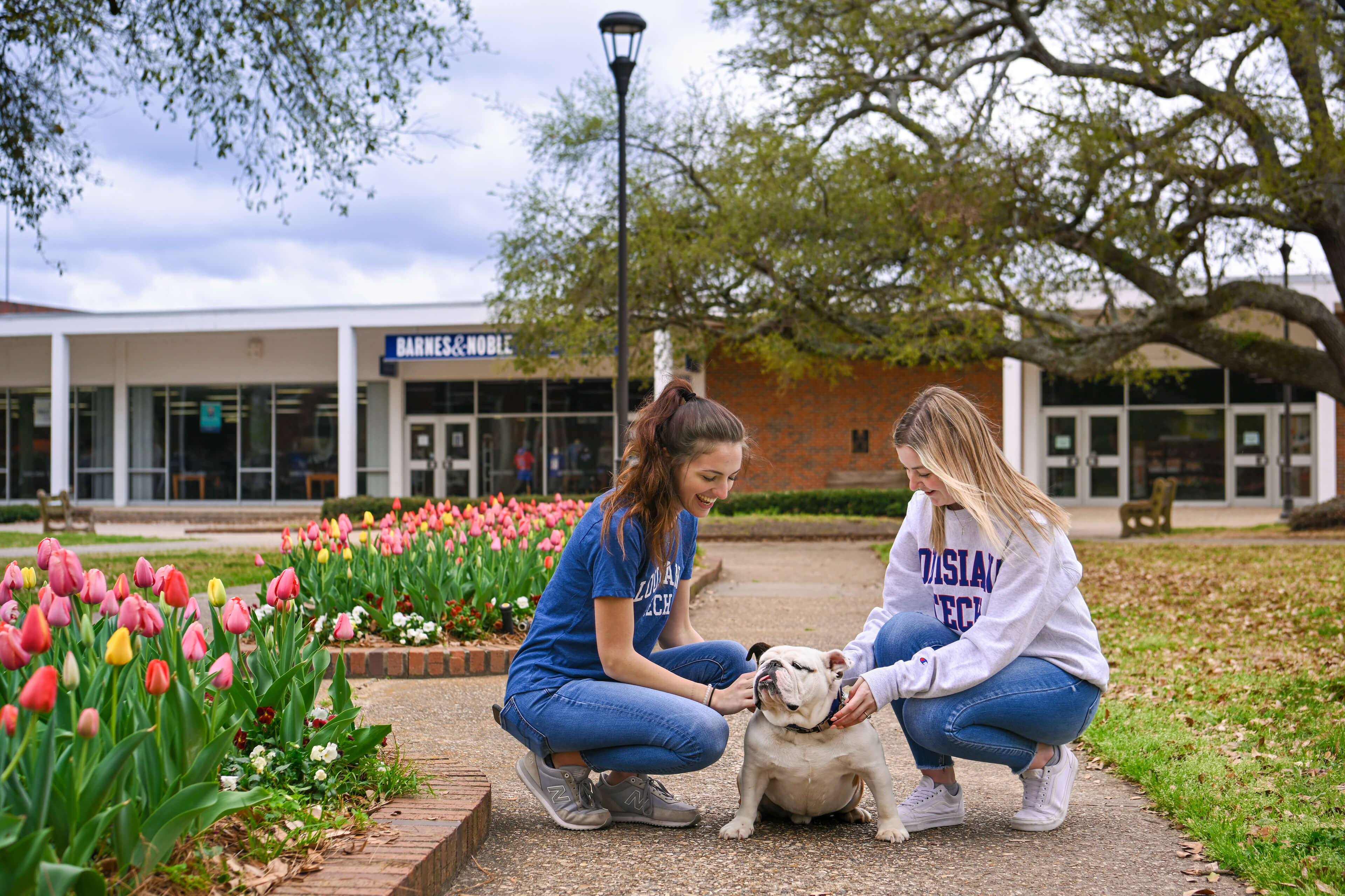 Two students joyfully pet LA Tech's bulldog mascot Tech XXII in the campus Quad
