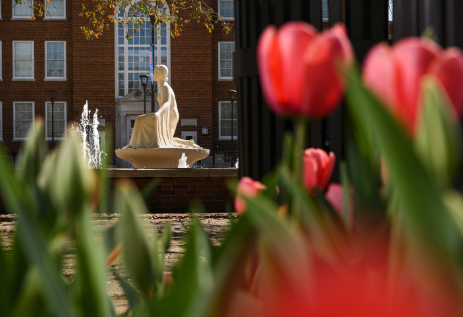 Lady of the Mist with tulips