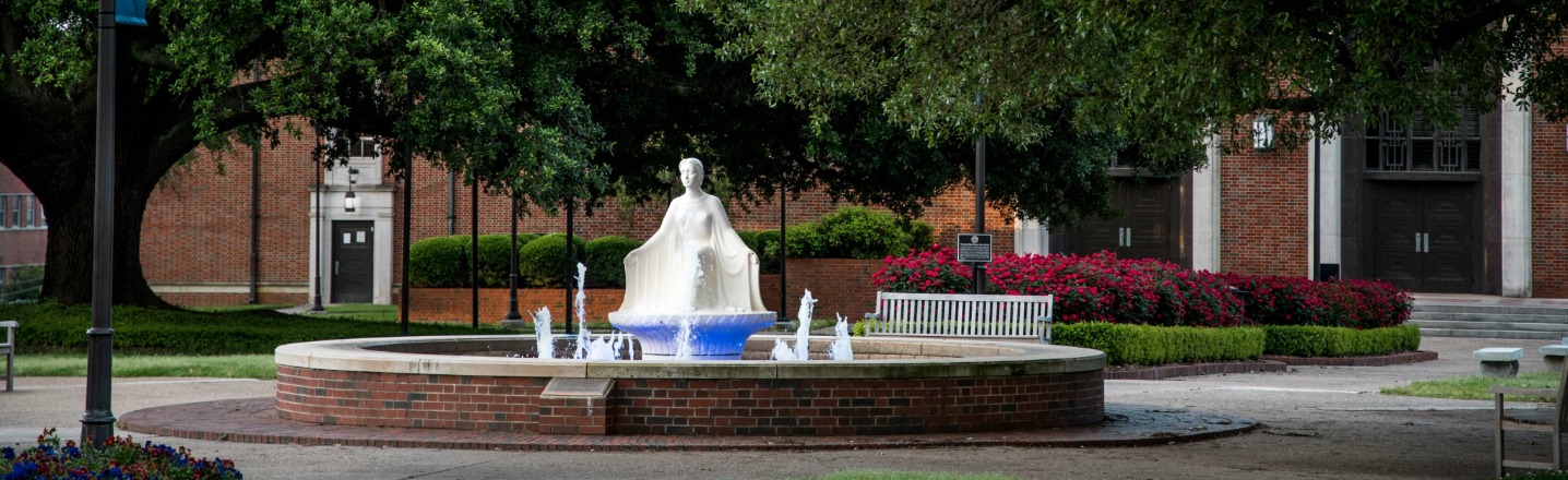 Lady of the Mist