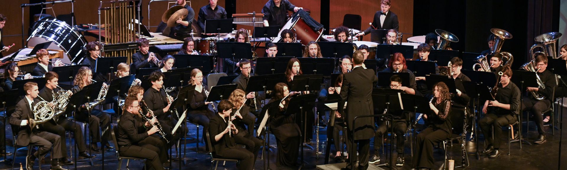a group of classical musicians performing on a stage being conducted by a conductor