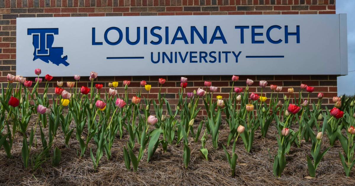 Tulips in full bloom with Louisiana Tech signage
