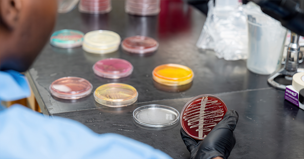 A scientist works on a table in a biology lab